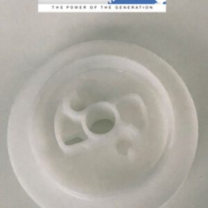 starterio skriemulys tinkantis STIHL MS 290/310/340/360